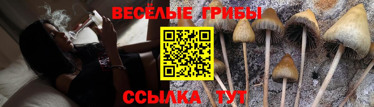 где продают наркотики  Вход с VPN  Екатеринбург  Галлюциногенные грибы GOLDEN TEACHER 